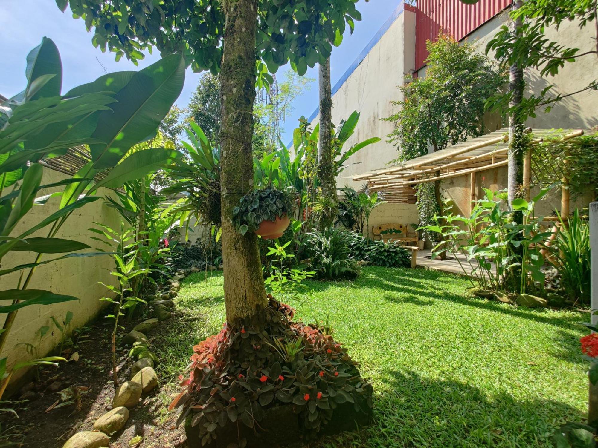 Casa De Lis Hotel & Tourist Info Centre Turrialba Eksteriør billede